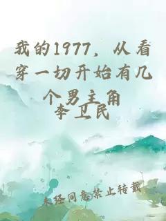 我的1977，从看穿一切开始有几个男主角
